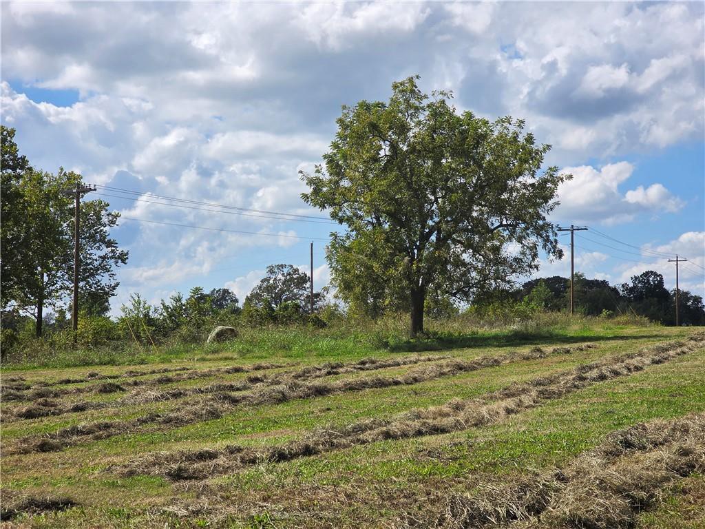 02-20-32-GRAVETTE - Land