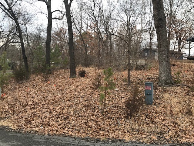 Nice corner lot with mature trees. Lot was former home site has water connection on lot. 

Note Bella Vista has existence of the “stump dump” fire.