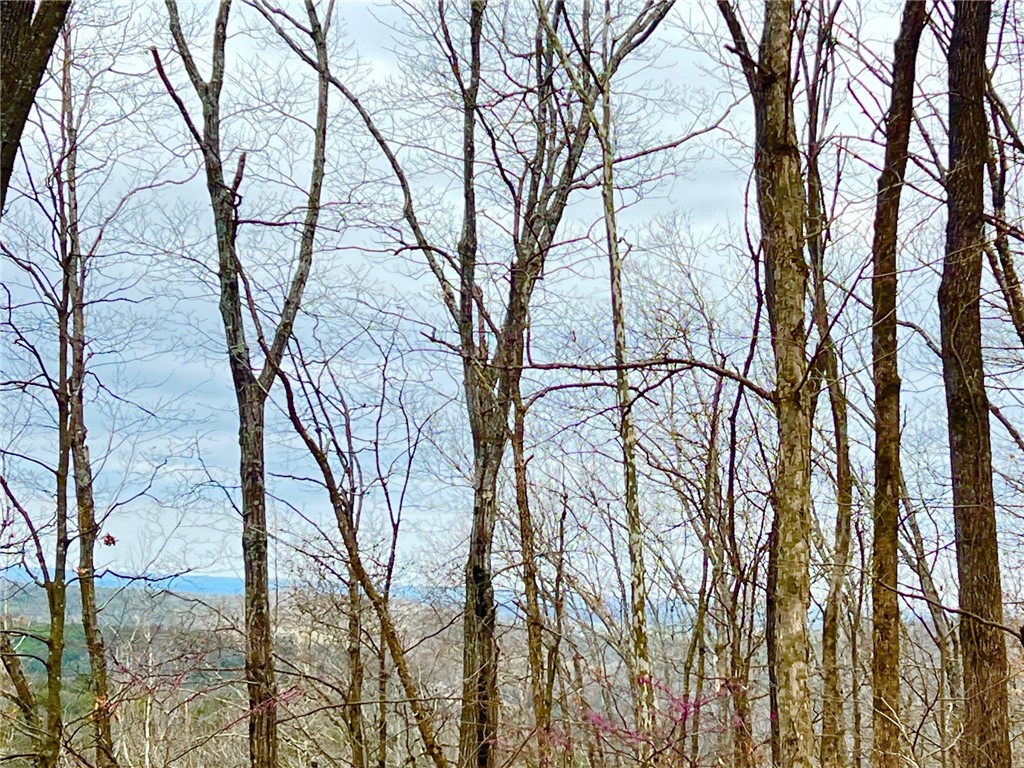 Mo Ark View Estates - Land