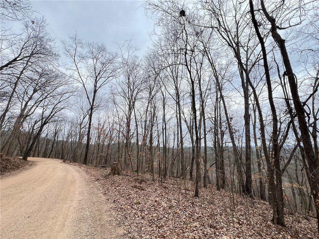 Mo Ark View Estates - Land