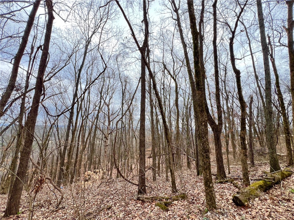 Mo Ark View Estates - Land