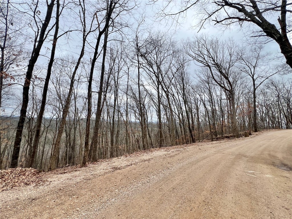 Mo Ark View Estates - Land