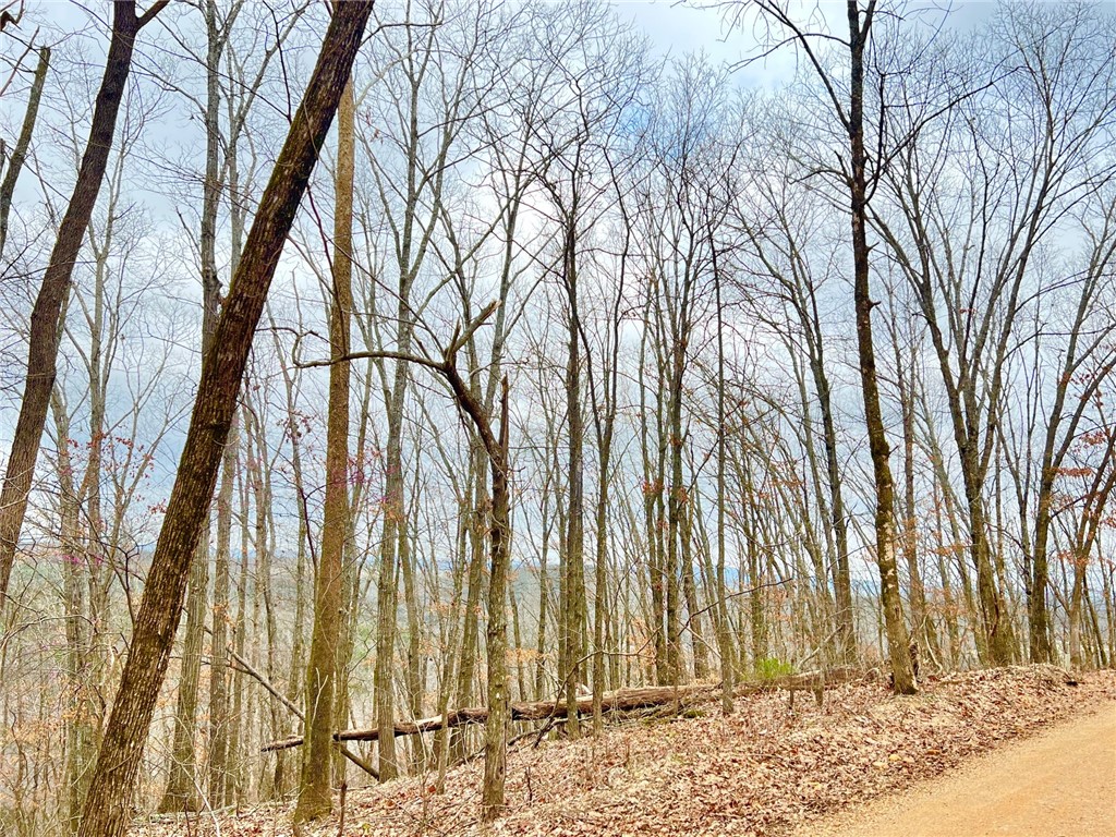 Mo Ark View Estates - Land