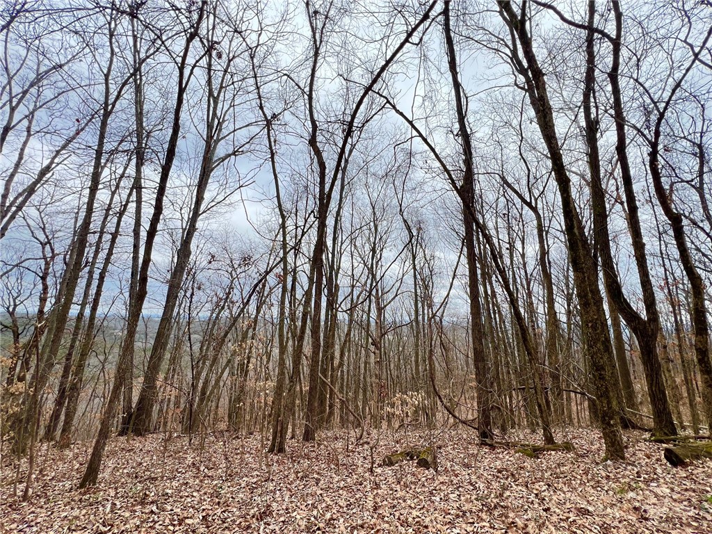 Mo Ark View Estates - Land