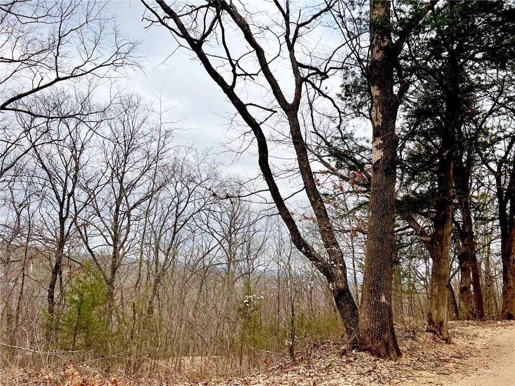 Mo Ark View Estates - Land