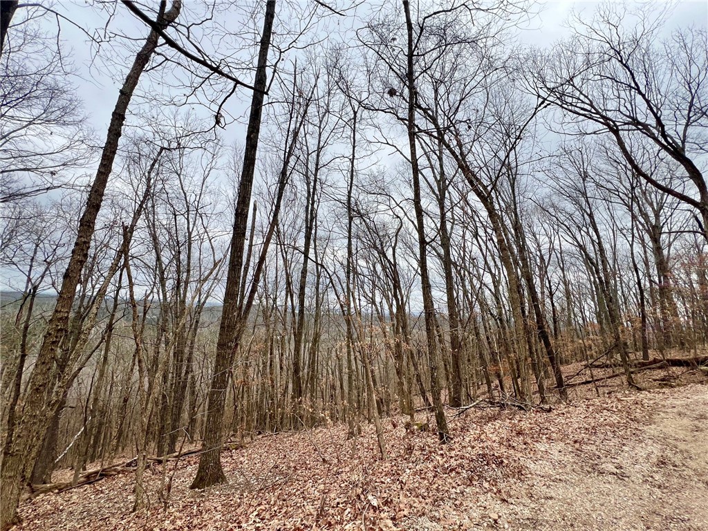 Mo Ark View Estates - Land