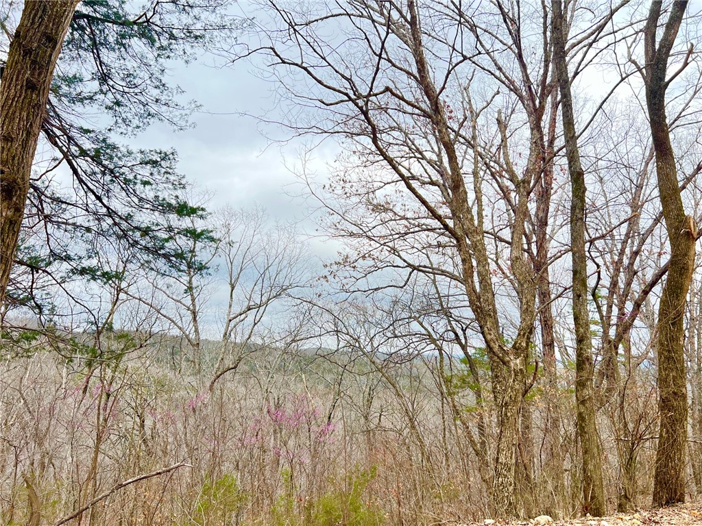 Mo Ark View Estates - Land