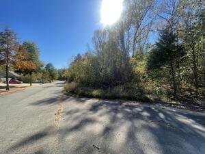 Builder ready! Hire that architect and design your future home. Quiet location but conveniently close to public school, eateries, etc.Beautiful subdivision. There are 3 lots available. Lot 8, 9, 10.