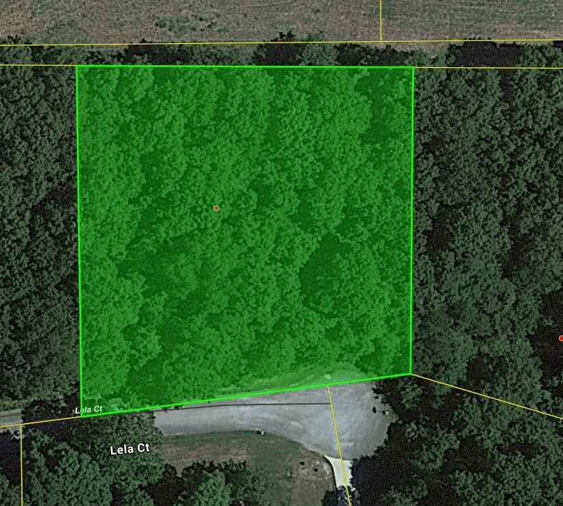 Wooded lot on paved road with water & electric available. Great Building site in established neighborhood. No mobile homes.