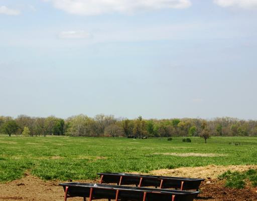 20-20-31-Rural - Land