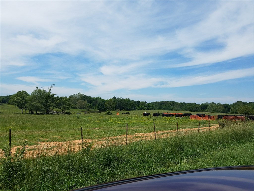 20-20-31-Rural - Land