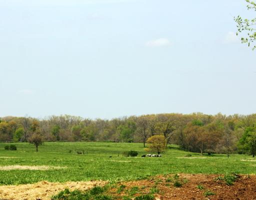 20-20-31-Rural - Land