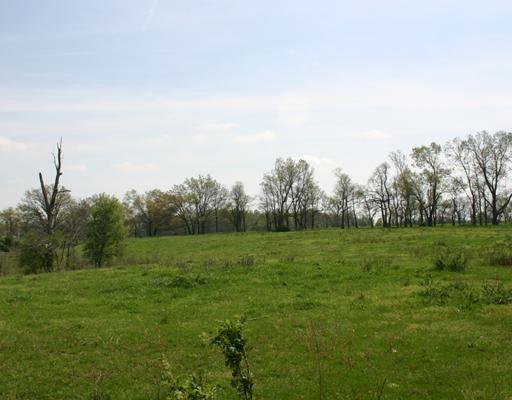 20-20-31-Rural - Land