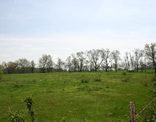 20-20-31-Rural - Land