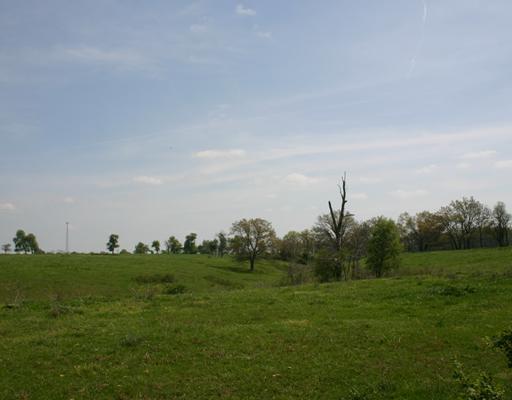 20-20-31-Rural - Land