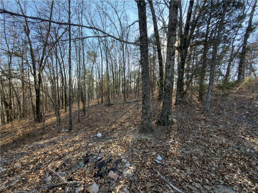 Mo Ark View Estates - Residential