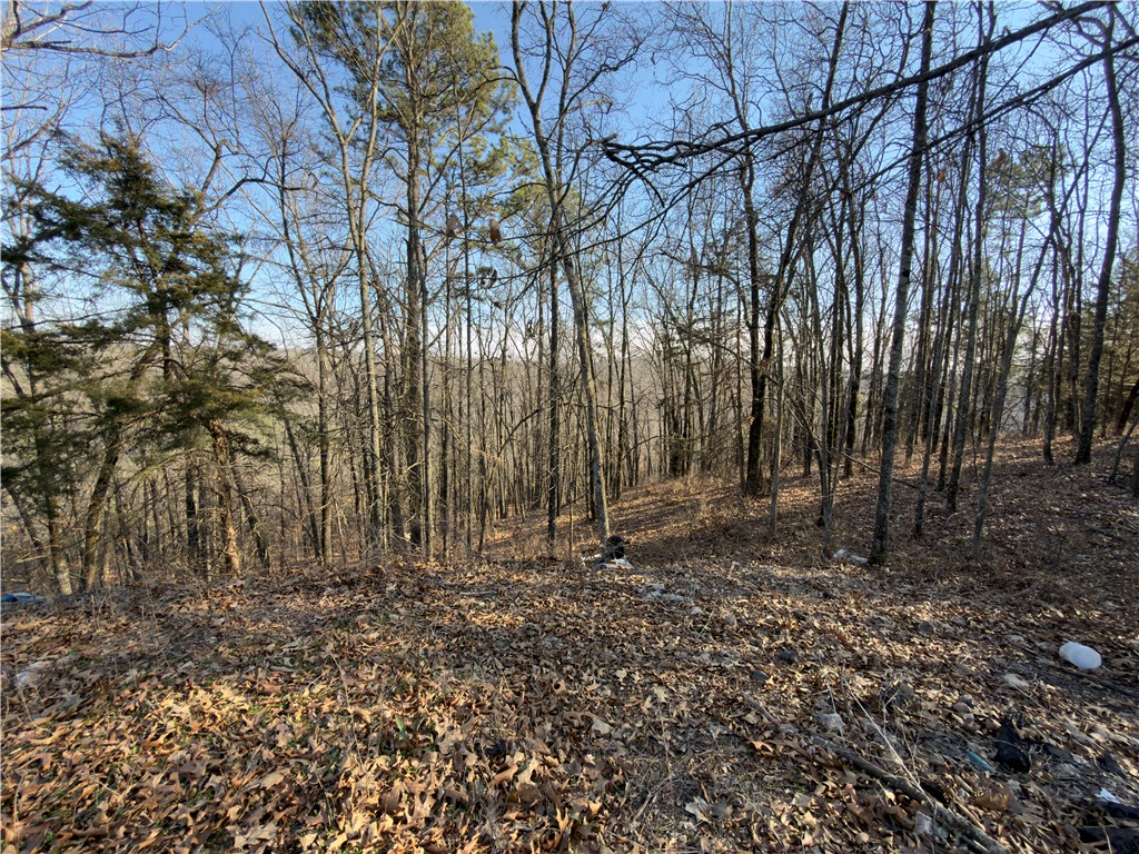 Mo Ark View Estates - Residential