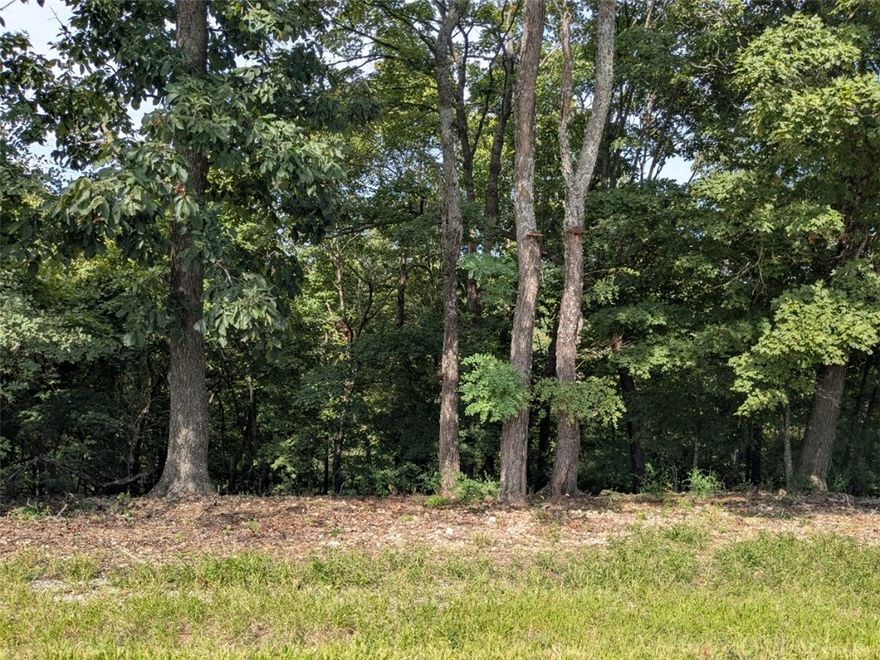 Ready to build your dream home? Near the main entrance, your new property is walking distance from the Holiday Island Country Club and golf course. Quiet and gently wooded with beautiful views, this elevated lot offers the best of both worlds. Enjoy the amenities in Holiday Island like golf courses, a country club, swimming, tennis and a marina with a fishing dock or watch the local fauna from your front porch! Nearby Eureka Springs or Rogers offers great shopping and vibrant cultural hubs.