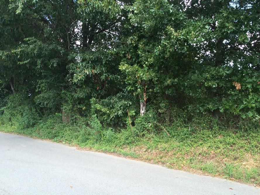 Wooded corner lot near Beaver Lake.