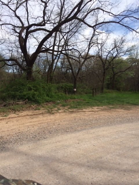 43 acres one block west of Hwy 72, perfect for development or a great secluded property for your dream home. Great open area surrounded by woods with beautiful mature trees and a pond. Perfect crest in the middle of the property with rolling slope into the wooded area. Close to Bentonville West and easy access to downtown Bentonville, shopping and entertainment. Water and electricity is at the road (Bullock Rd).