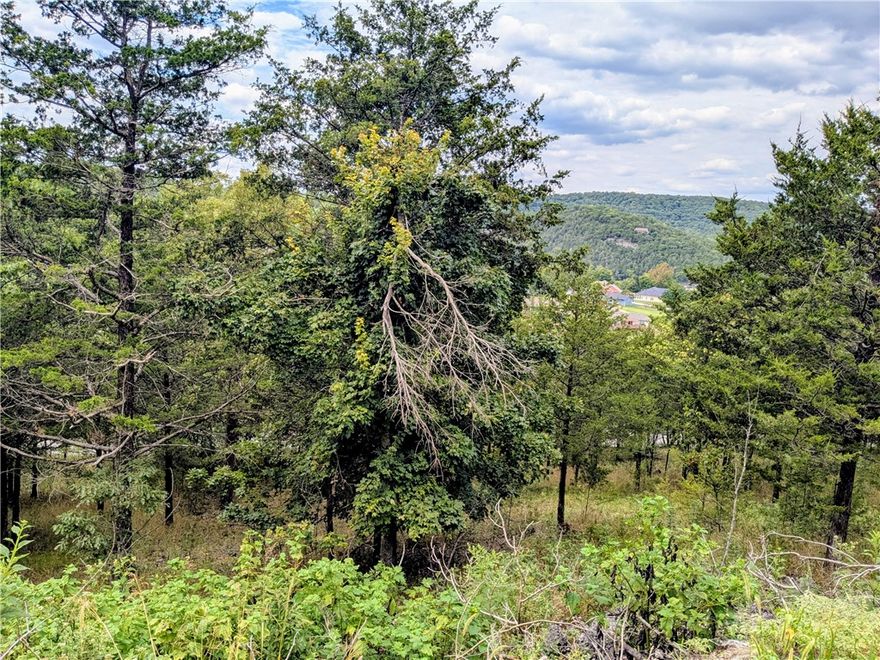 Ready to build your dream home? Spectacular vista with potential for year-round lake view. Access from both Shields Dr and Quail Run, the possibilities are awesome! Quiet and gently wooded within a neighborhood, this lot offers the best of both worlds. Enjoy the amenities in Holiday Island like golf courses, a country club, swimming, tennis and a marina with a fishing dock or watch the local fauna from your front porch! Nearby Eureka Springs or Rogers offers great shopping and vibrant cultural hubs.