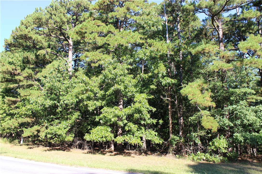 Beautiful Bella Vista lot just under a half an acre. Close to the back 40 trails. The map actually shows the lot being on Trafalgar.