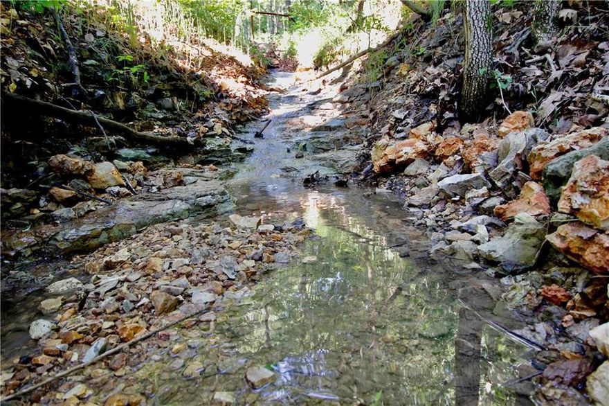 If you’re looking for a beautiful piece of land near Northwest Arkansas, Beaver Lake, or a popular tourist destination, this 81.99-acre tract checks all the boxes. Located just 10 miles from Eureka Springs, AR, on paved County Road 108 and approximately 2 miles from Big Clifty boat ramp on Beaver Lake, this property offers both convenience and privacy. A newly graveled drive provides great access into the property. With nearly 82 acres, there are multiple high points and flat ridges offering excellent build sites with scenic Ozark views. The land is covered in mature timber, including oak, hickory, pine, dogwood, and cedar. Wildlife such as deer and turkey are abundant, making it ideal for hunting or recreation. The property also features a spring-fed creek and wet-weather creek, adding to its natural appeal. This tract truly offers a mix of beauty, usability, and opportunity.