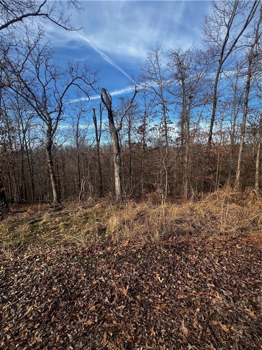 Build your dream home on this wooded lot in Bella Vista, Arkansas. Located on Munster Drive, Lot 25, Block 2 offers privacy and access to Bella Vista’s amenities, including golf courses, scenic lakes like Lake Windsor, parks, and miles of biking and walking trails through the Bella Vista Trail System. Just minutes from Bentonville and attractions such as Crystal Bridges Museum of Art, plus shopping, dining, and entertainment. Perfect for a primary residence, vacation retreat, or investment property. Buyer to verify utilities and POA requirements.
