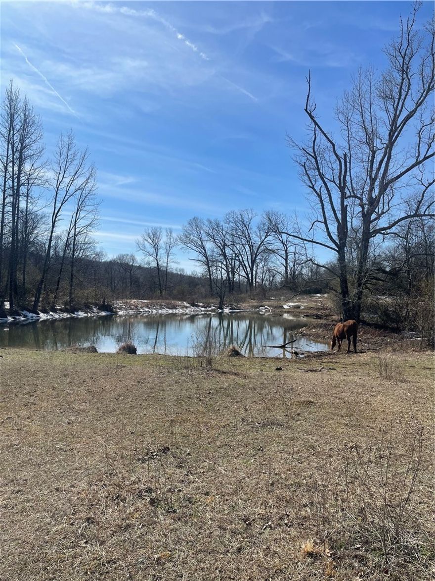 This 66.5 acre property has mineral rights that will convey to the Buyer.  There are 3 ponds and a year round stream on site.   The structure on the property is not habitable.