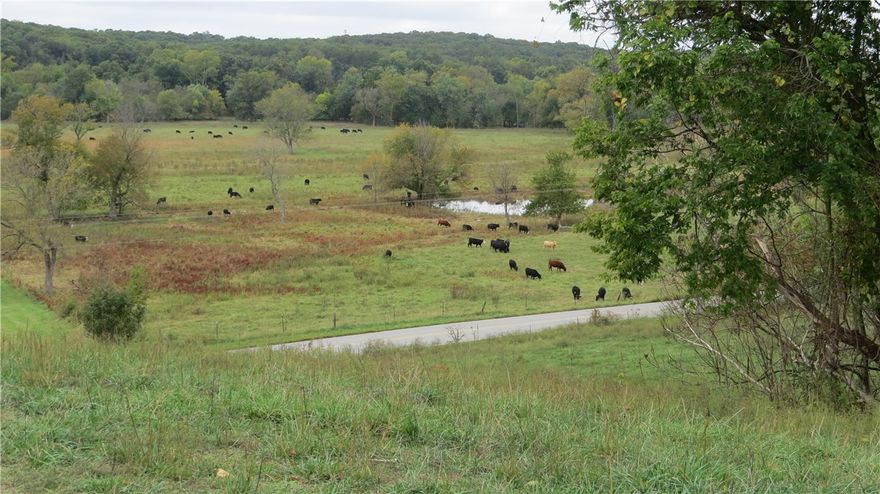 The property can be divided in partials  as small 30 acres , up to the 95 on South  side of dirt road , & 58 across the dirt Rd going North  /with large house . Buy the 58 with house or divide as you wish . 

several ways to divide this property .