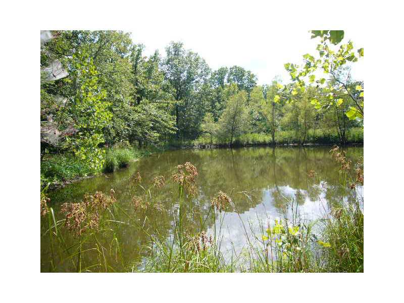 CONVENIENTLY LOCATED 50 ACRE WOODLAND CONTROLS OVER 1840' OF PAVED FRONTAGE WITH AN INTRIGUING BLUFF LINE THAT CREATES A PARTIAL PRIVACY BARRIER ALONG THE ROAD. ELEVATED WITH A 1650' HIGH POINT, THE LAND HAS AN INTERIOR ROAD THAT LEADS TO A STOCKED POND,AND MANY POTENTIAL BUILDING SITES. POWER, WATER, WILDLIFE, WILD FLOWERS, SEASONAL CREEK ALL ONLY 9 MILES/MINUTES SOUTH OF​​‌​​​​‌​‌​​​‌‌​​​‌‌‌​​‌​​‌‌​​​​ FAYETTEVILLE.