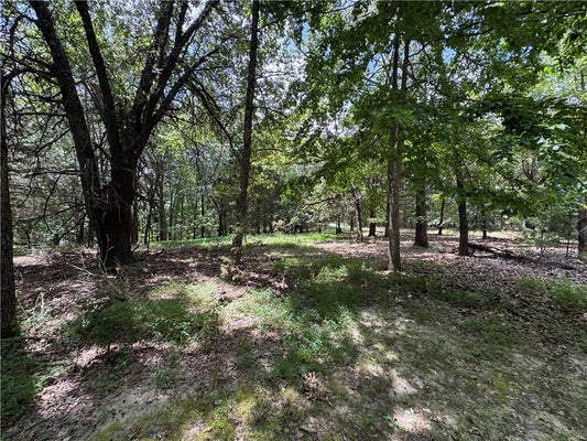 25 PANORAMA LOOP, EUREKA SPRINGS, AR 72631 - Image b32915d1ed2c6a4e199f8b561e1e3861/15517765