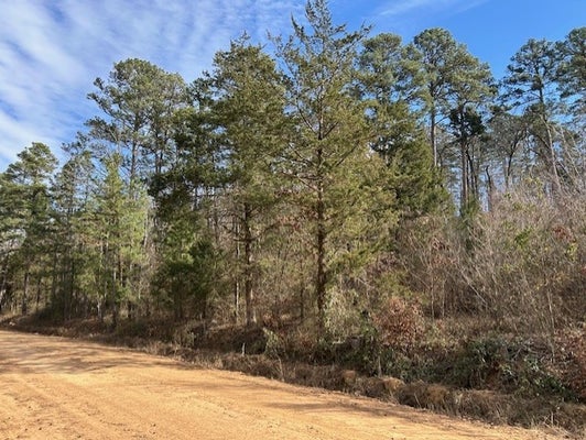 MOSS CREEK RD, DANVILLE, AR 72833 - Image b32dd7786c2bbd8ce15193dcdda90352/4072097922