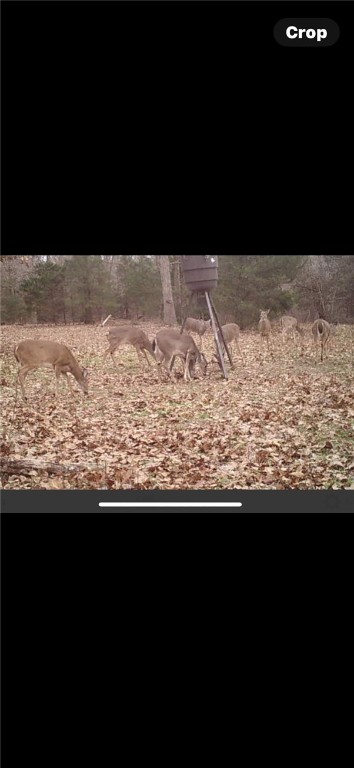 11-18-33-rural - Residential