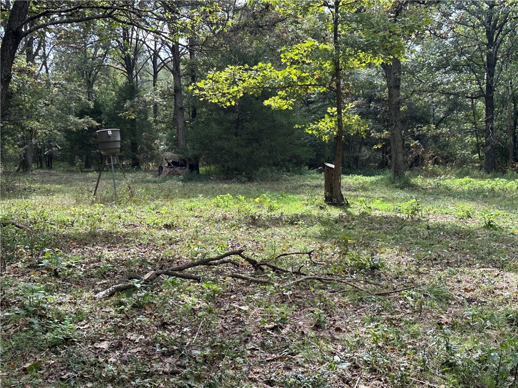 11-18-33-rural - Residential