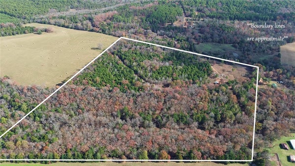 9943 ROUGH BRANCH RD, MULBERRY, AR 72947 - Image b3a29ecb6dcc71a8893a54e0b6a1cb2a/307206804