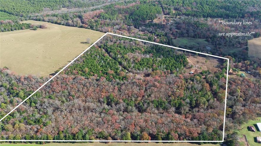 Great spot to build your home or weekend cabin with easy access and just minutes from the Mulberry River! Situated on a dead end road, roughly 3 acres of flat ground is cleared and ready with power, fiber and a new well on site. Just 5 miles north of the Mulberry exit on I-40 and less than 2 miles off Hwy 215, you are only minutes away from Mulberry River access and thousands of acres of National Forest ground. This heavily wooded tract holds lots of wildlife and there is a major funnel on the north end for a great hunting spot. Mostly flat, the western third is a beautiful wet weather creek bottom with mature hardwoods. An old road travels through the property and needs only minimal clearing in order to be serviceable again. One storage building is already in place, with another enclosed shed for the well equipment. Tractor and camper are not included but are negotiable. Recently surveyed, this one is ready to go! 10 minutes to Mulberry, 20 minutes to Ozark or Alma, 1 hour from Fayetteville.