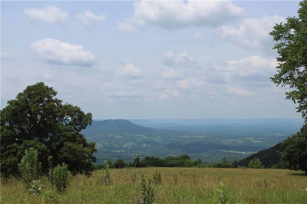 Experience some of the most incredible 360-degree views in all of Newton County with this 80-acre tract out of the 360-acre Sky Island property. Rolling Ozark hills, hardwoods, abundant wildlife, and multiple building sites make this a true showcase of the regionās natural beauty. The entire 360 acres is divisible and available in 20-acre increments (no less than 20 acres), allowing flexibility whether youāre seeking a private retreat, hunting property, or investment opportunity. Sky Island offers unmatched seclusion while being within easy reach of the Buffalo National River and endless outdoor recreation. Rarely does a property combine this level of scenery, space, and potential. Cross-reference additional listings MLS #1316075, #1323883, #1323885, #1323886, and #1303223 for other tracts available within Sky Island.