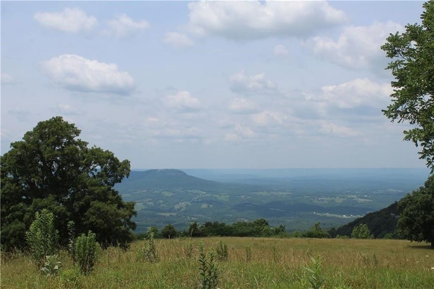 Experience some of the most incredible 360-degree views in all of Newton County with this 80-acre tract out of the 360-acre Sky Island property. Rolling Ozark hills, hardwoods, abundant wildlife, and multiple building sites make this a true showcase of the region’s natural beauty. The entire 360 acres is divisible and available in 20-acre increments (no less than 20 acres), allowing flexibility whether you’re seeking a private retreat, hunting property, or investment opportunity. Sky Island offers unmatched seclusion while being within easy reach of the Buffalo National River and endless outdoor recreation. Rarely does a property combine this level of scenery, space, and potential. Cross-reference additional listings MLS #1316075, #1323883, #1323885, #1323886, and #1303223 for other tracts available within Sky Island.