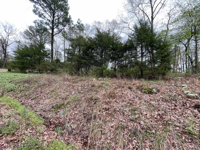 Beautiful lot with lots of potential! Plenty of wildlife for a rural feel but close to Eureka Springs. 2 Golf courses, country club, recreation center, swimming pool, park, tennis courts, ball field, marina and fishing dock, to name a few amenities. Don't let an opportunity like this pass you by!