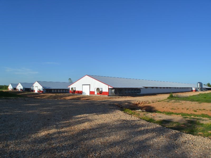 Brand New 4 house broiler farm on 60 acres. This farm is on it's 3rd flock Less than a year old. New 3 bedroom 2 bath dwelling included. 2 additional pads all ready for 2 more houses when company approves. Balance of land is open with lush grazing.