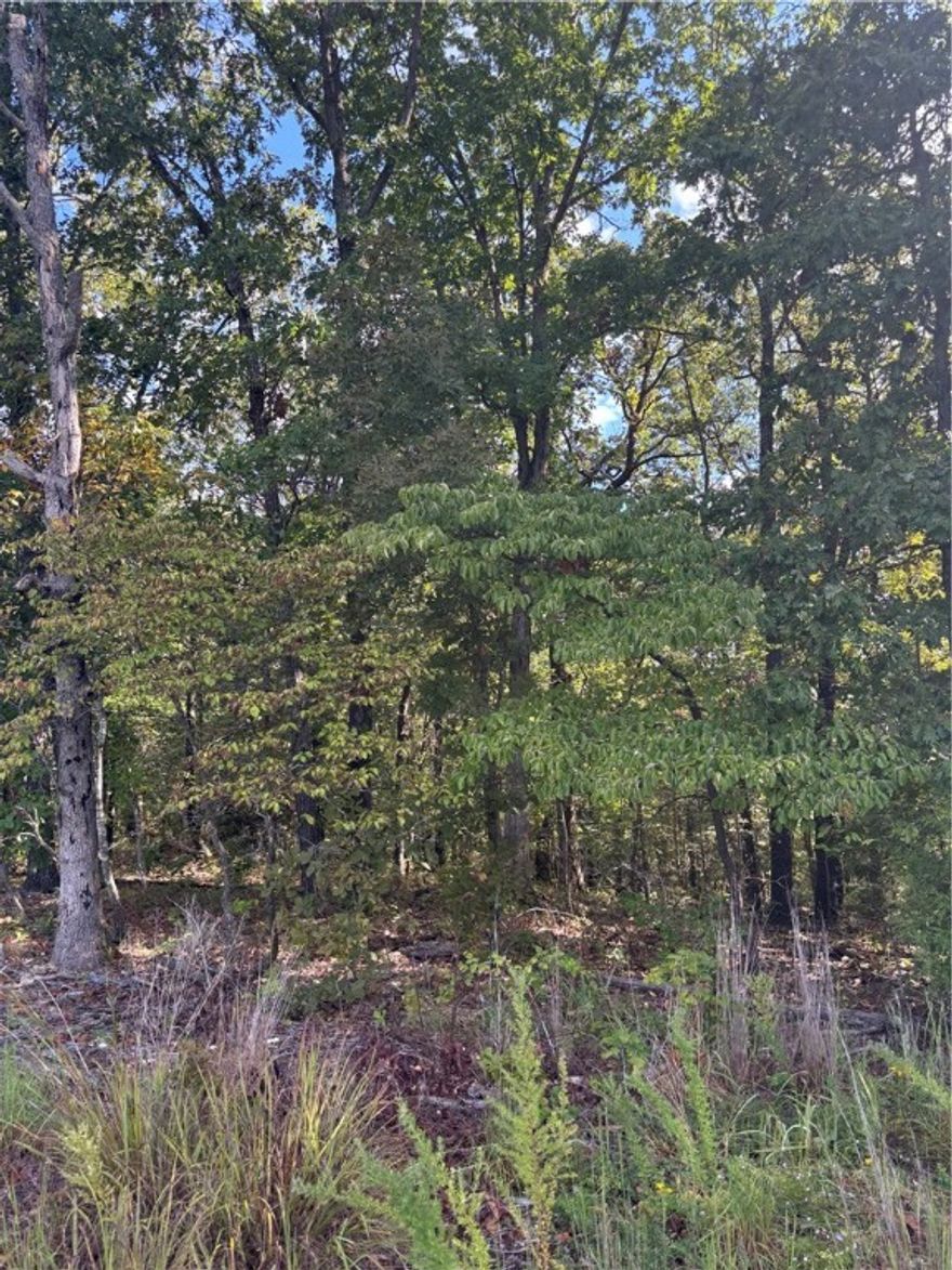 Beautiful .27 acre Lot with building potential, near Tunnel Vision biking trail. Enjoy everything that beautiful Bella Vista has to offer, whether you are looking to build or invest come check this one out!