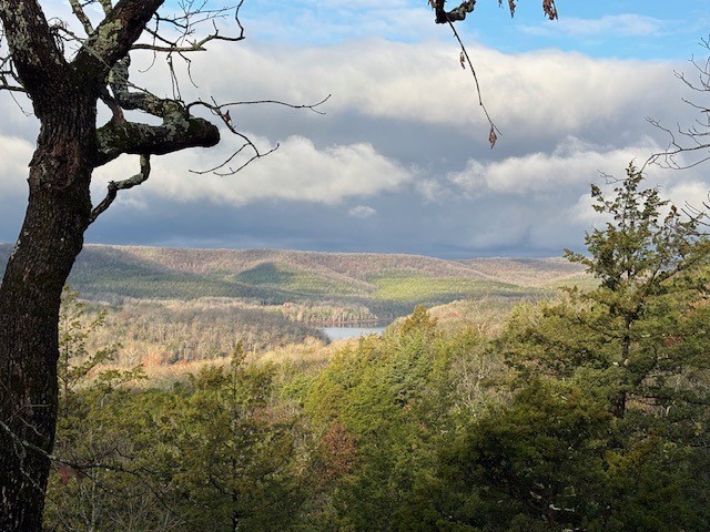 Unit 1 Holiday Island - Residential