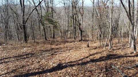 Unimproved Land in Bella Vista AR Braig Lane 3.jpg