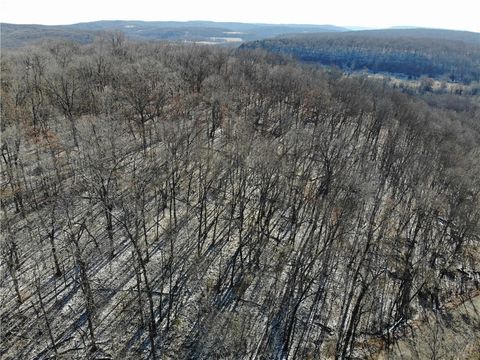 Unimproved Land in West Fork AR 11596 Brubaker Rd 5.jpg