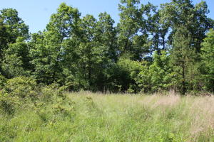 Slice of the Ozarks with county road frontage. Good level along county road for building on. Well and septic needed. This 23.5 acres is very private at the end of a county road and only minutes to town. Additional acreage available.