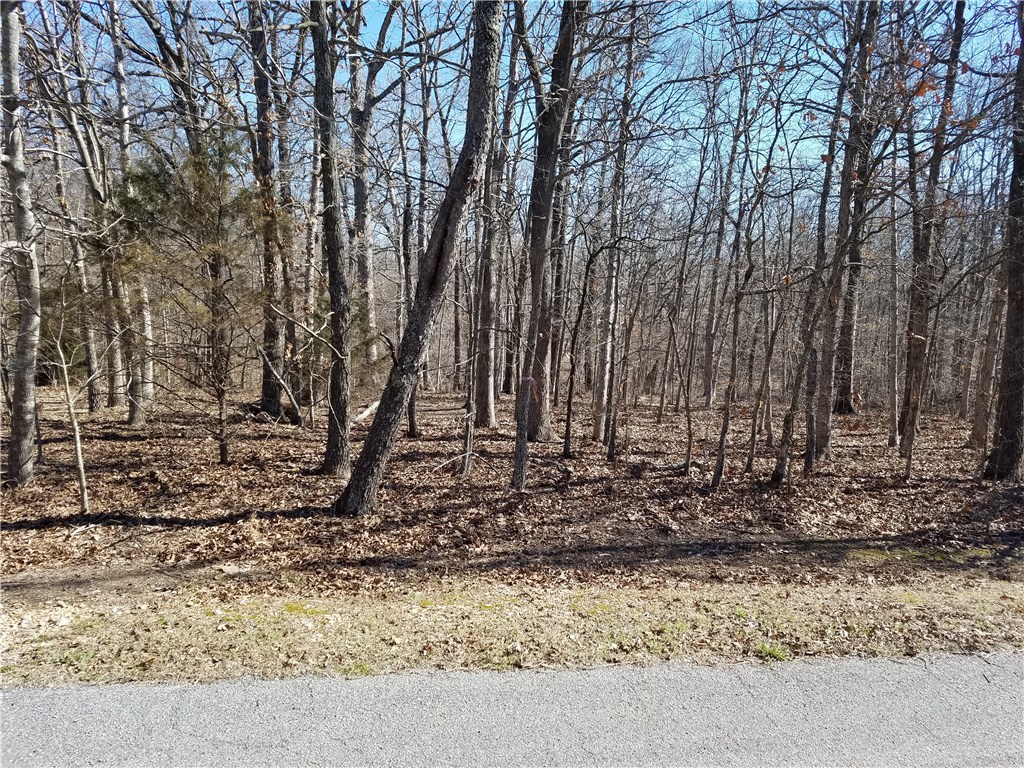 Great building lot on a gently sloping lot. Great neighborhood close to bypass with easy access to Bentonville. Great place to build your dream home!