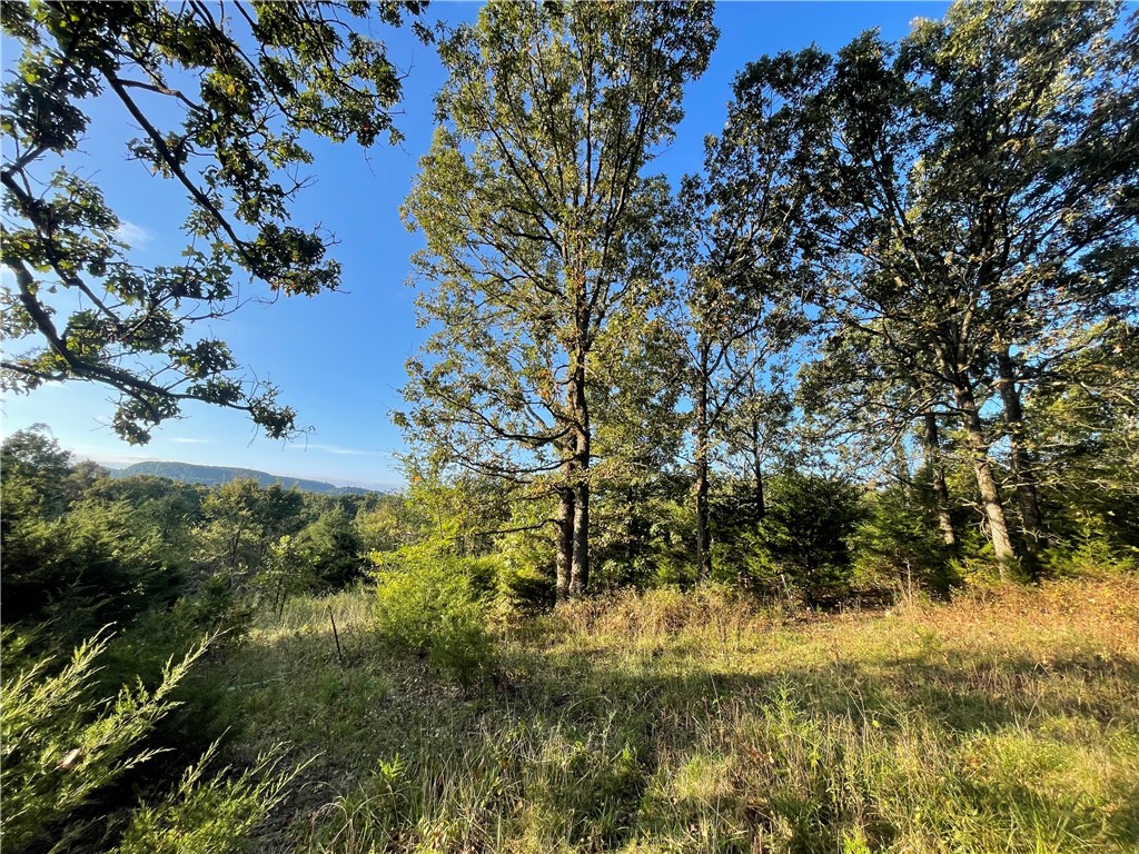 10 acres with utilities and a view! Just 2.5 miles from Hwy 412 sits this great building opportunity at the end of a dead end road. If you're looking for privacy in a peaceful setting, this is the perfect spot. Mostly wooded, there is a flat clearing as you enter the property that would make a great spot to build. Or go further in for total seclusion. There is already a nice view, but that could be expanded with relative ease. A nice pond sits just below the clearing, offering an excellent spot to relax and watch the wildlife that frequents this property. Less than 20 minutes to Harrison, 35 minutes to Branson, MO and 45 minutes to Fayetteville/Springdale. Buyer to verify utilities.
