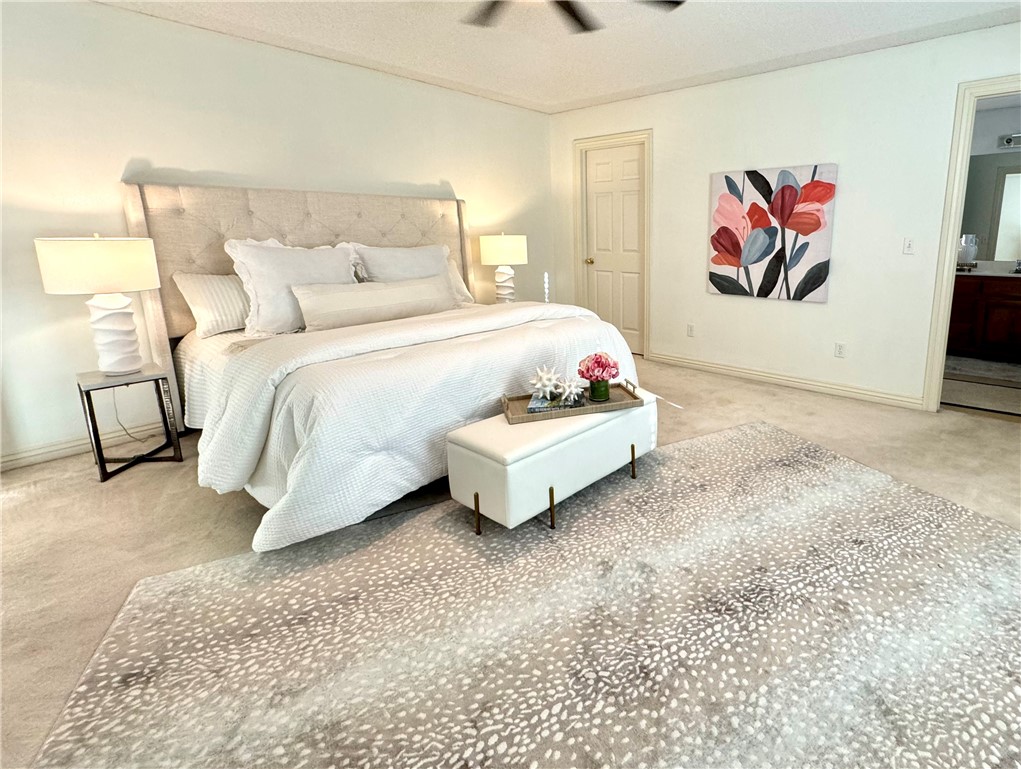 Dunedin Sub Bvv - Residential