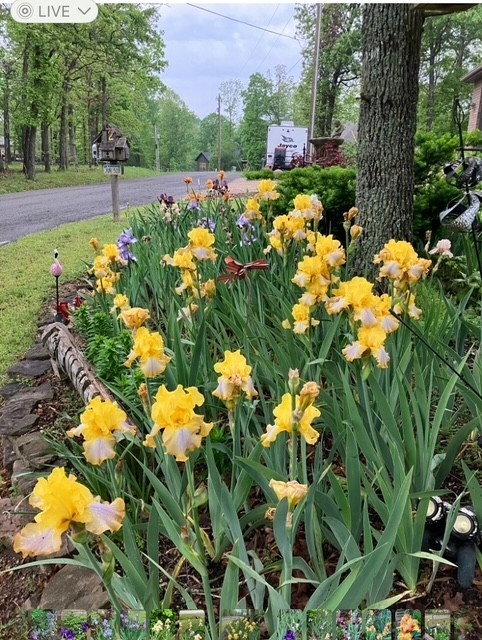 Jura Sub - BVV - Residential